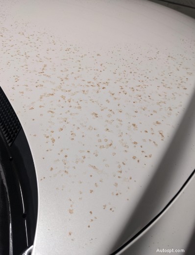 Les 5 principaux contaminants de la peinture automobile dévoilés – Conseils d experts pour préserver la finition de votre véhicule 