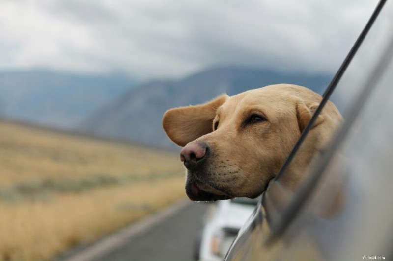 À quelle fréquence devez-vous laver votre voiture ? Guide expert pour une maintenance optimale 