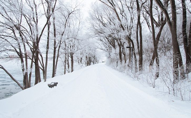 Conduite sécuritaire sur les routes verglacées :conseils d’experts pour les voyages hivernaux 