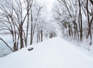 Conduite sécuritaire sur les routes verglacées :conseils d’experts pour les voyages hivernaux 