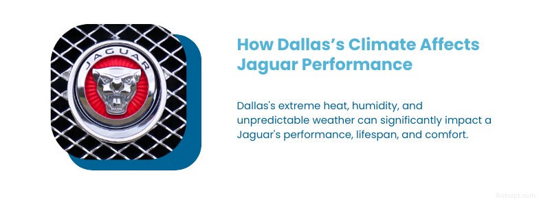 Guide d entretien ultime de Jaguar pour Dallas, Texas :conseils d experts et soins locaux 