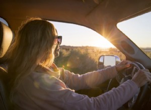Conduite sécuritaire au soleil :protégez votre véhicule et votre santé sur les routes ensoleillées 