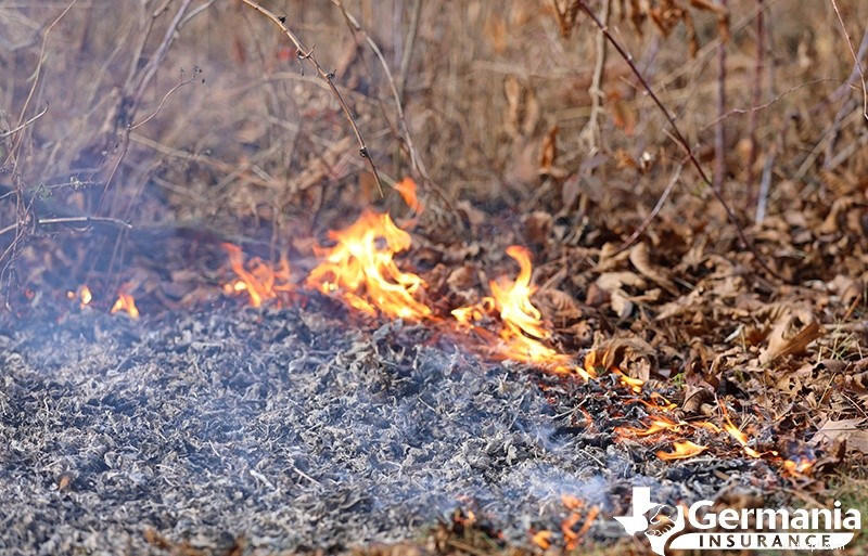 Comprendre les causes des incendies de forêt et leur propagation rapide :facteurs clés et prévention 
