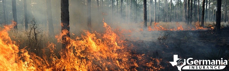 Comprendre les causes des incendies de forêt et leur propagation rapide :facteurs clés et prévention 