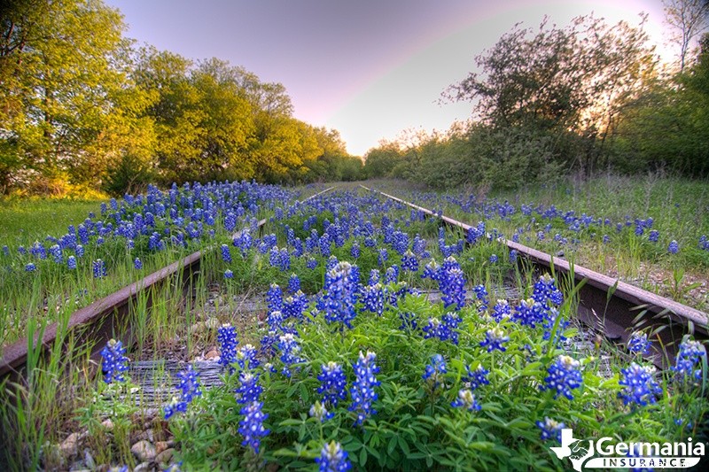 Découvrez les 10 destinations les plus parfaites pour Instagram au Texas 