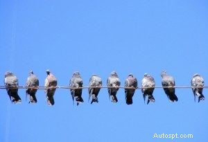 5 menaces pour la peinture de votre voiture à Scottsdale (et comment la garder brillante) 