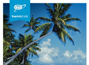 Guide ultime des croisières océaniques :planifiez, préparez et profitez de vos prochaines vacances en mer 