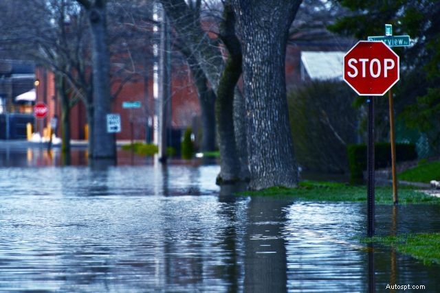 Évitez les risques cachés :repérer les voitures endommagées par les inondations sur le marché des véhicules d occasion 