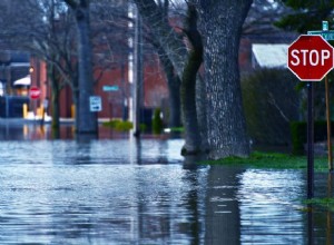 Évitez les risques cachés :repérer les voitures endommagées par les inondations sur le marché des véhicules d occasion 