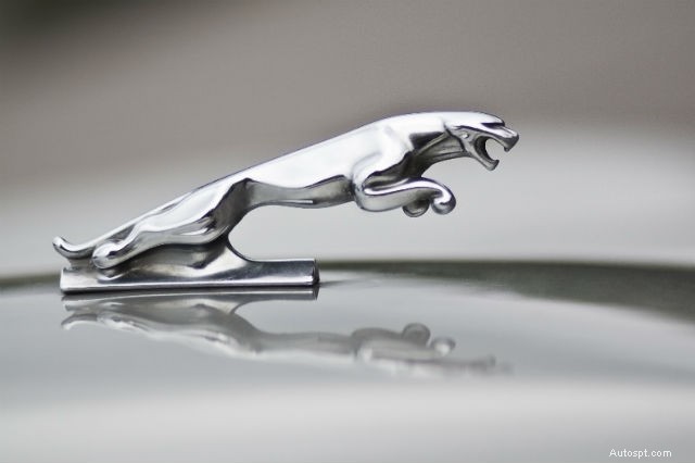 Des accents emblématiques aux trésors rares :l’histoire des ornements de capot de voiture 
