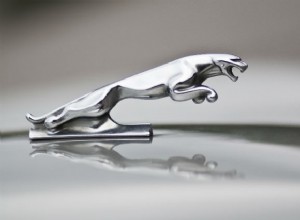 Des accents emblématiques aux trésors rares :l’histoire des ornements de capot de voiture 