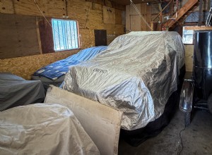Housse de voiture robuste avec dispositif de dissuasion intégré pour la souris 