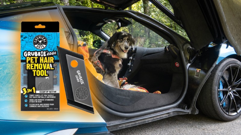 Gardez votre voiture impeccable :le meilleur épilateur pour animaux de compagnie pour les propriétaires de chiens 