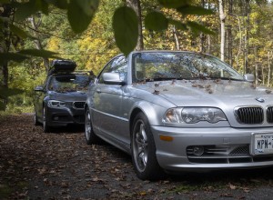 Gardez la peinture de votre voiture impeccable :enlevez immédiatement les feuilles mortes 