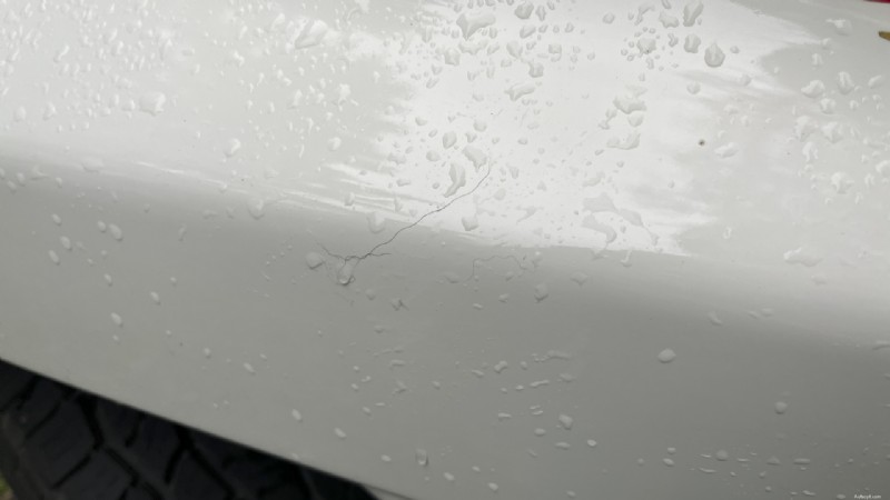 Gardez la peinture de votre voiture impeccable :enlevez immédiatement les feuilles mortes 