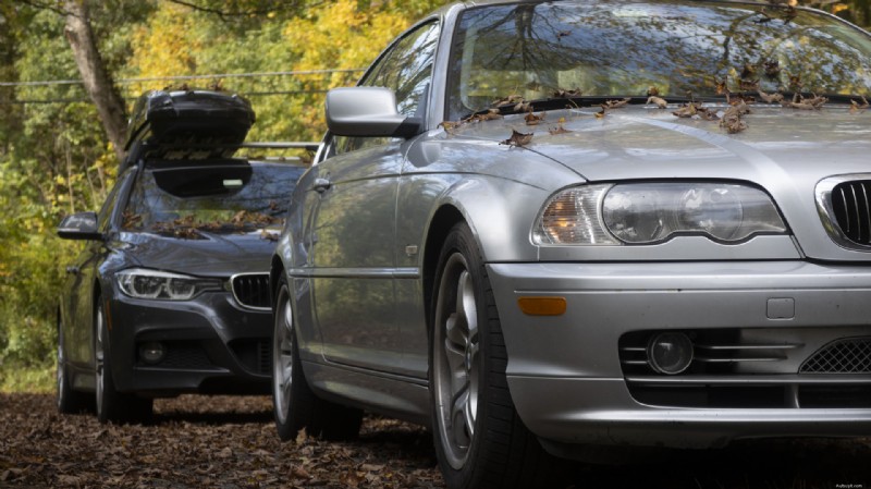 Gardez la peinture de votre voiture impeccable :enlevez immédiatement les feuilles mortes 