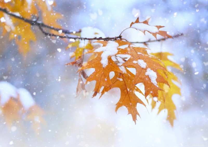 Choix du moment des pneus d’hiver :conseils d’experts pour un changement de saison en toute sécurité 