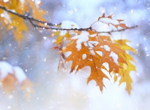 Choix du moment des pneus d’hiver :conseils d’experts pour un changement de saison en toute sécurité 